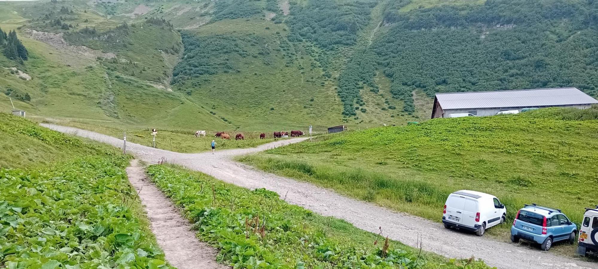 Residence Le Plate Les Carroz d'Araches Dış mekan fotoğraf